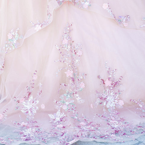 Enchanting Floral Details Quinceañera Ball Gown for Women, Sizes 4/XS-16/3X